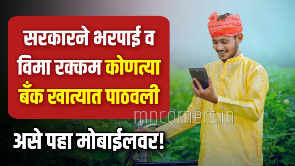 How to check government scheme money credited to bank account