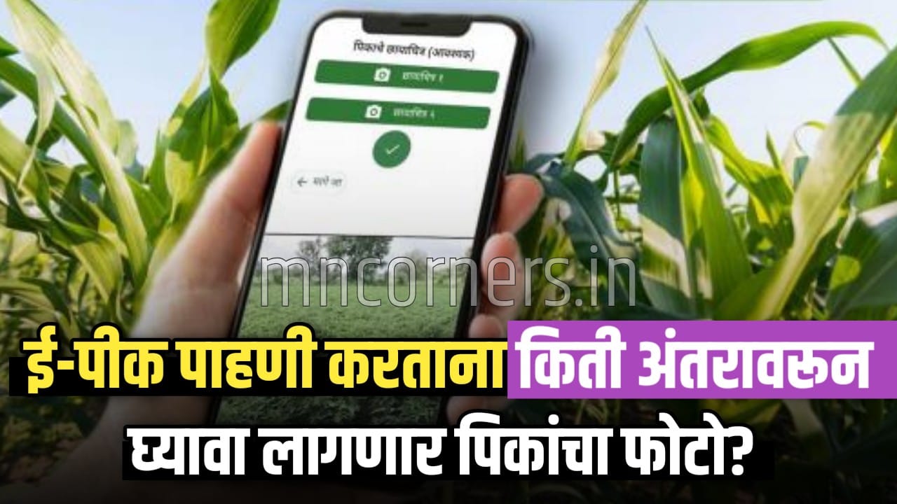 Digital Crop Survey Maharashtra
