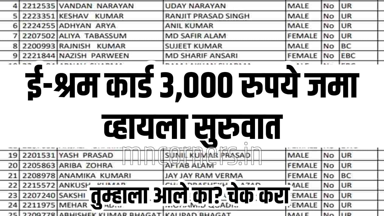 E Shram Payment Status Check