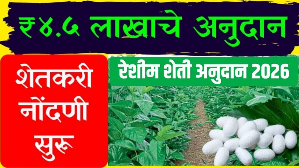 रेशीम शेती अनुदान 2026 (Sericulture Subsidy 2026) योजनेअंतर्गत शेतकऱ्यांना 4.5 लाख रुपयांपर्यंत अर्थसाहाय्य मिळत आहे. तुती लागवड आणि रेशीम उद्योग सुरू करण्यासाठी 'महारेशिम अभियान' नोंदणी प्रक्रिया सुरू झाली आहे.