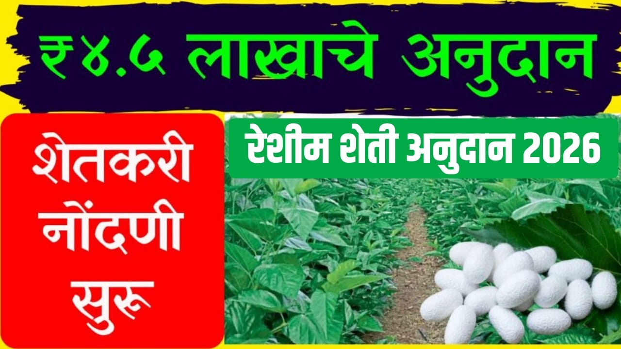 रेशीम शेती अनुदान 2026 (Sericulture Subsidy 2026) योजनेअंतर्गत शेतकऱ्यांना 4.5 लाख रुपयांपर्यंत अर्थसाहाय्य मिळत आहे. तुती लागवड आणि रेशीम उद्योग सुरू करण्यासाठी 'महारेशिम अभियान' नोंदणी प्रक्रिया सुरू झाली आहे.