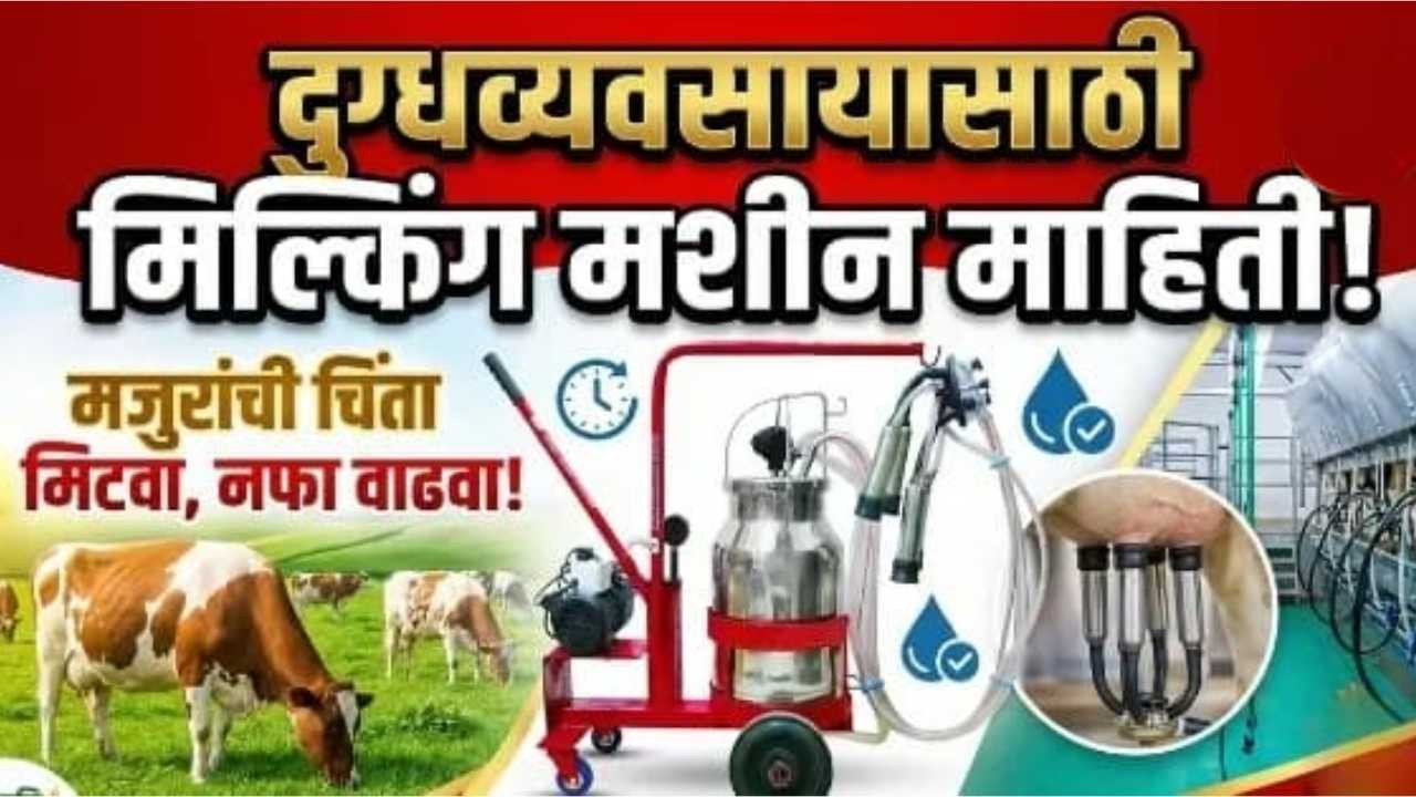 Milking Machine for Dairy Farming